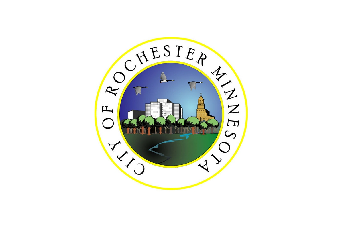 Who's running for Rochester mayor in 2018?