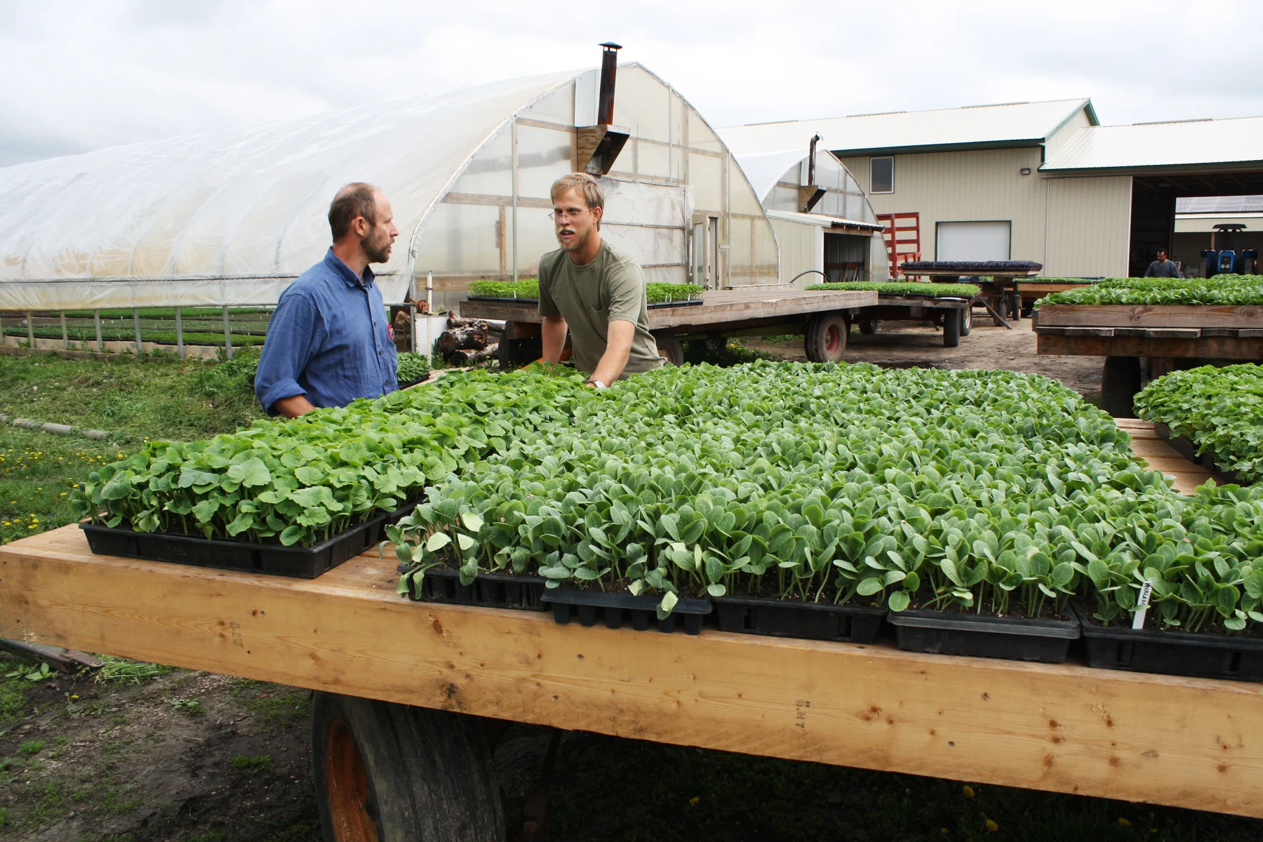 How choosing to 'buy local' in Rochester supports a farm in nearby Rushford