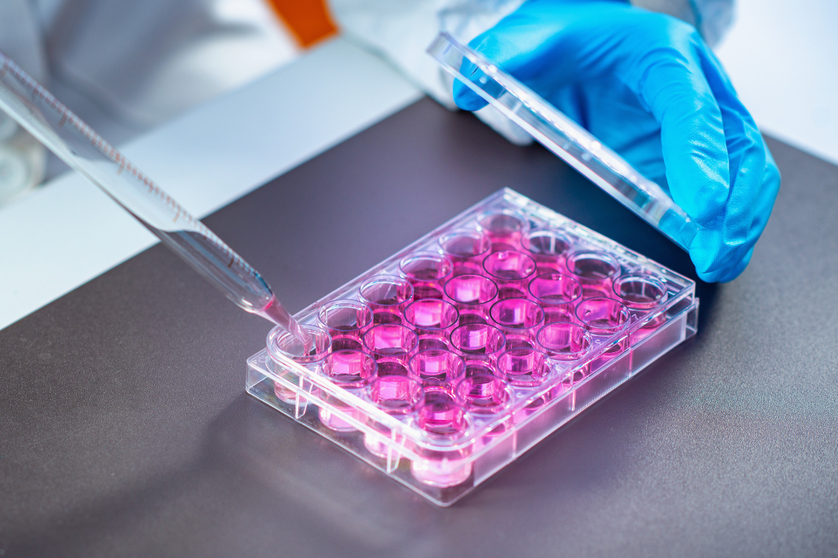 Four biotech startups to watch in Rochester