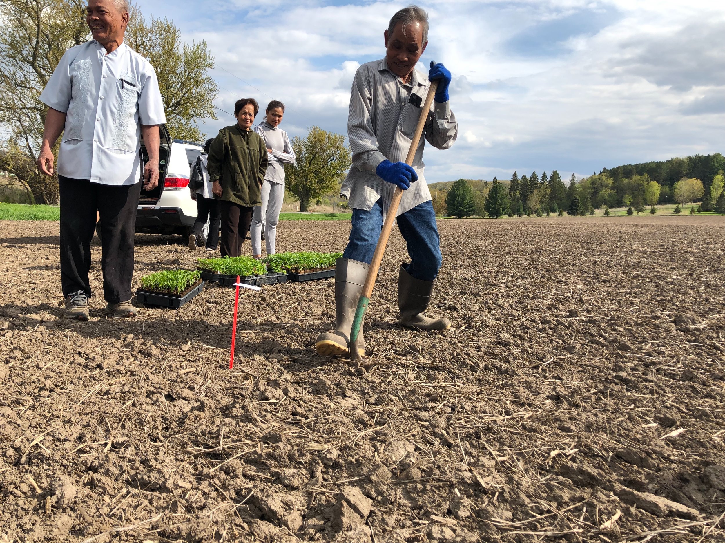 The Village is a collaboration between the Diversity Council, Rochester Cambodian Community, Rochester Farmers Markets and benefactor Joselyn Raymundo / Photo by Bryan Lund