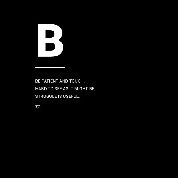 77.JPG