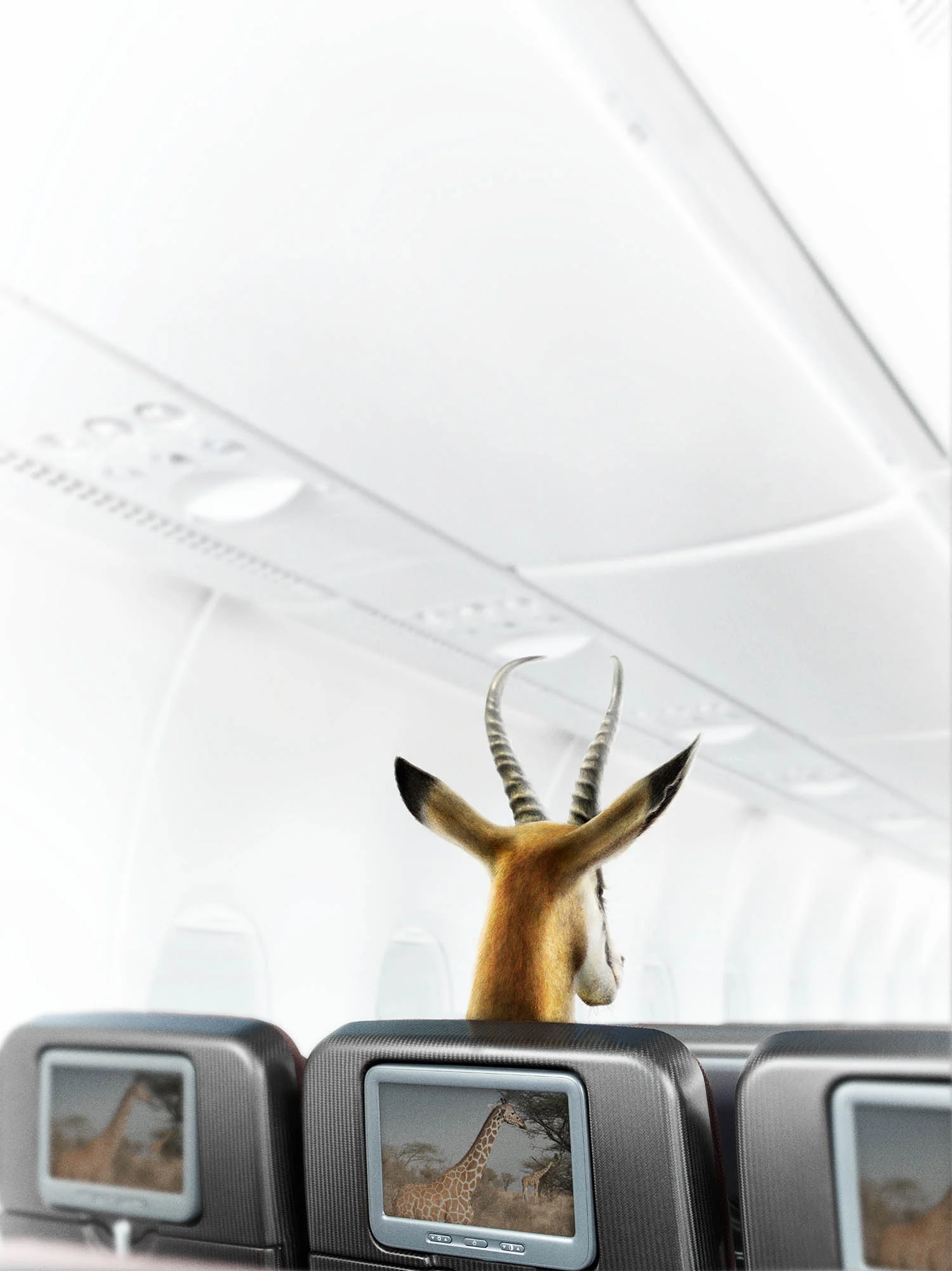 Photography:<br>Jamie MacFadyen/Drawing Book/Stock<br><br>Client:<br>Qantas/Optus/M&C Saatchi