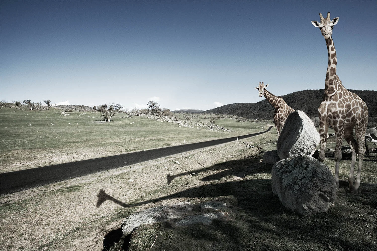 Photography: <br> Julian Watt