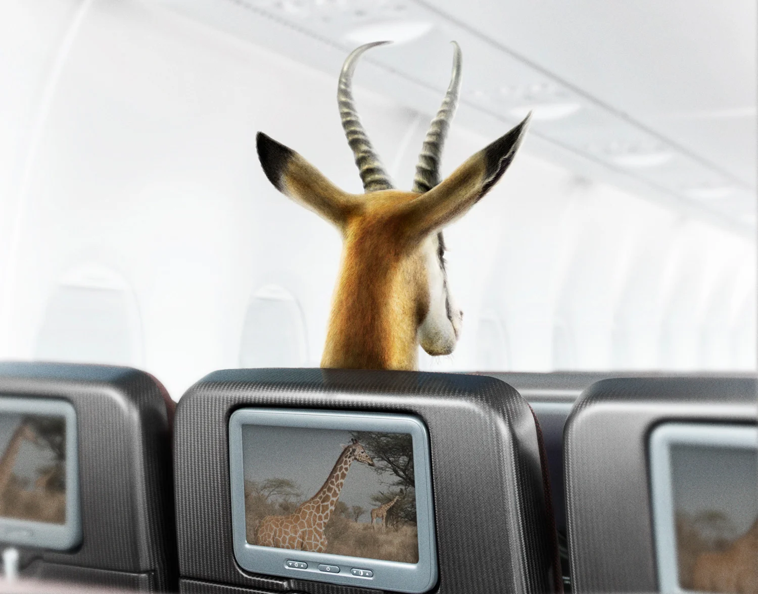 Jamie MacFadyen / The Drawing Room • M&C Saatchi • Qantas