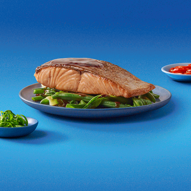 Salmon-12fps-R1-gif-setup.gif