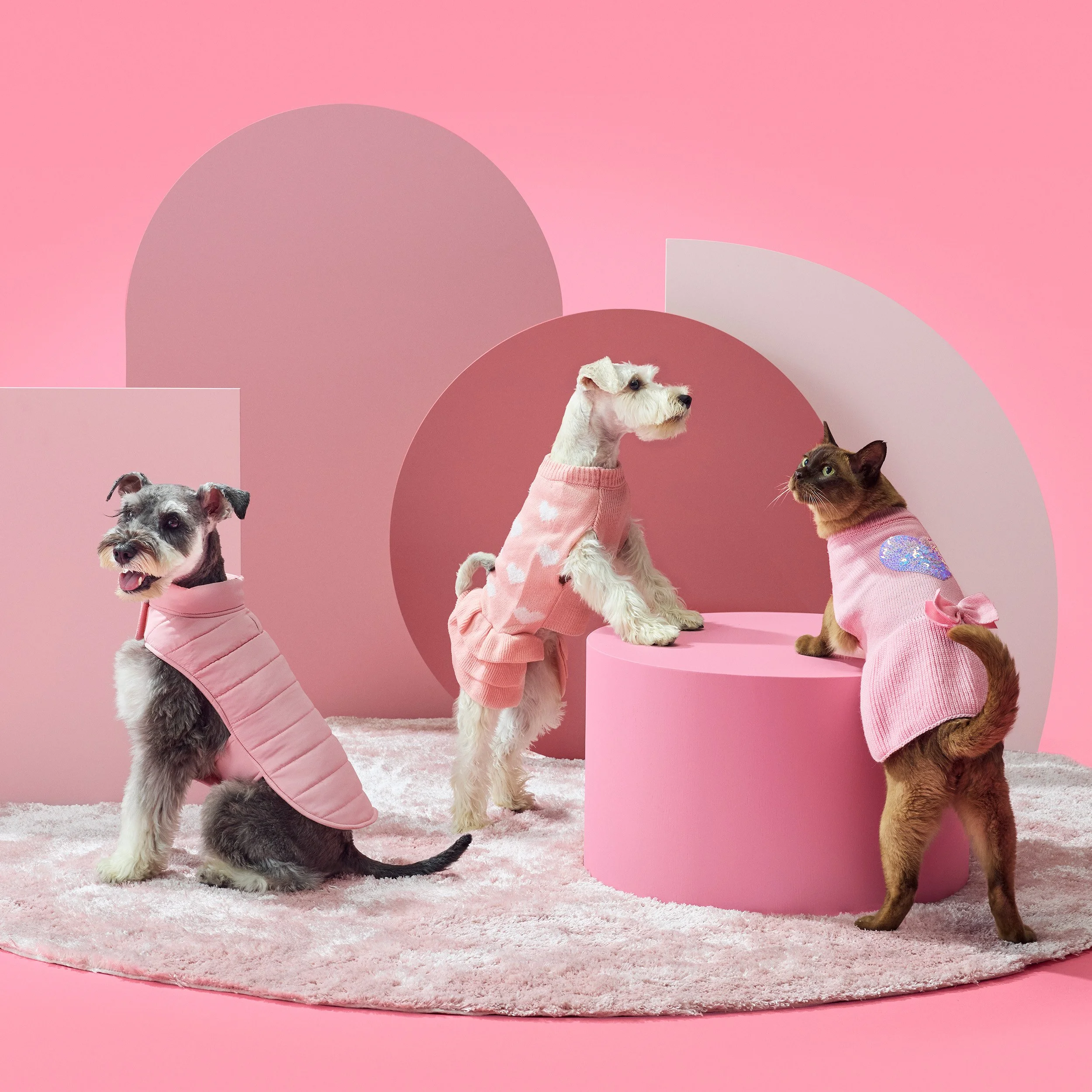 Petbarn