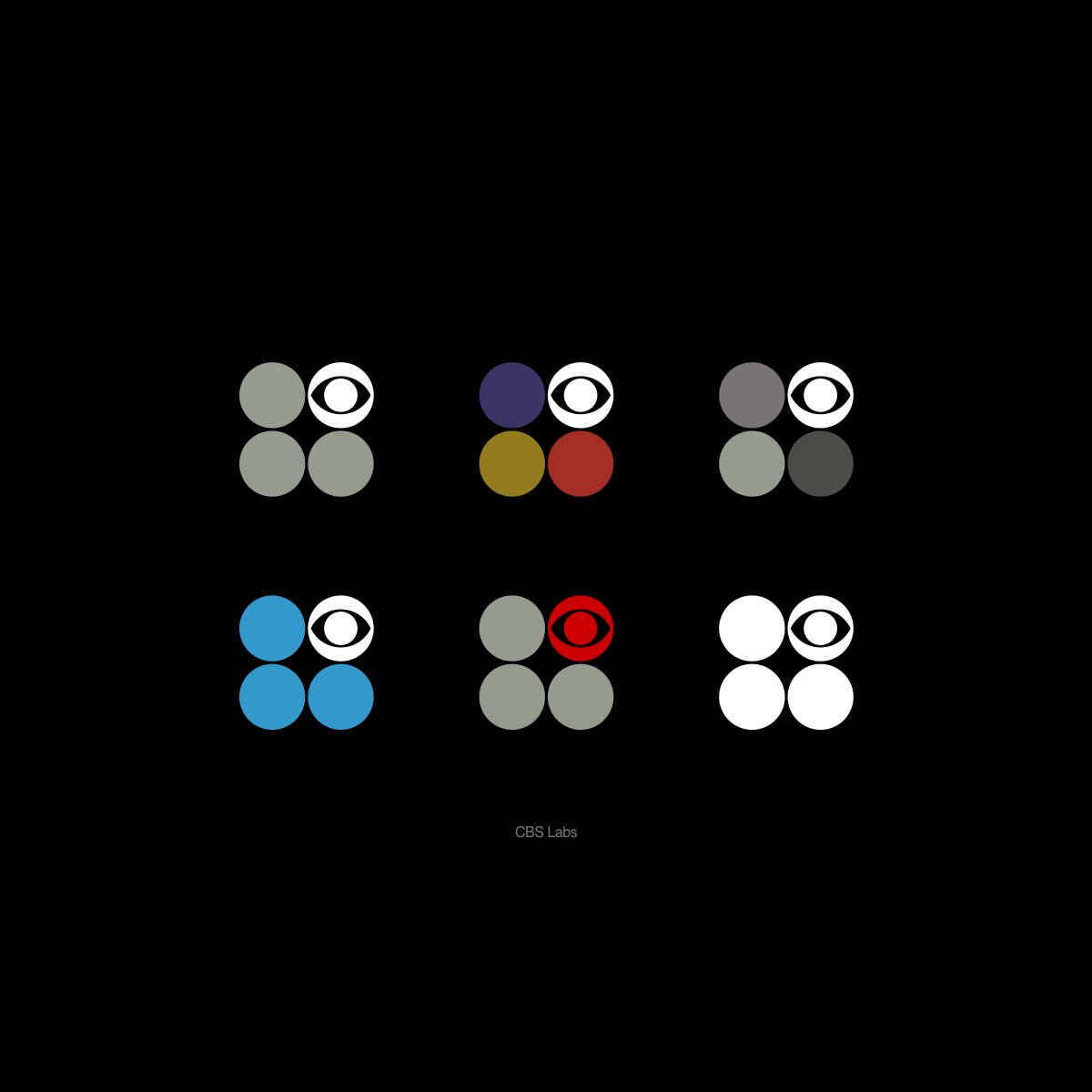 cbs_labs.004.jpeg