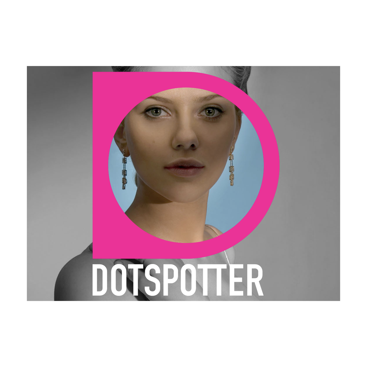 dotspotter.002.png