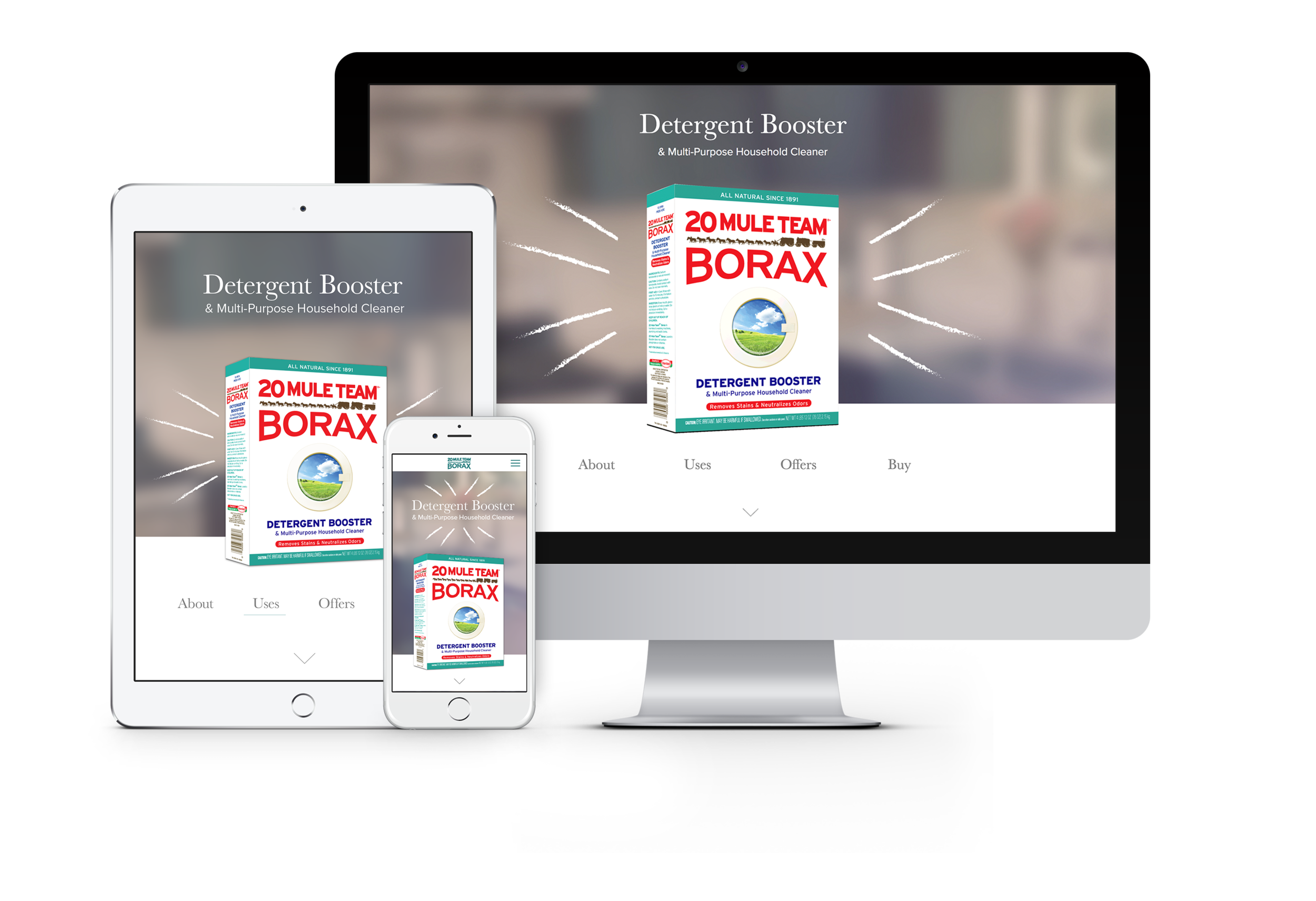TMTB_Responsive_Mockup.png