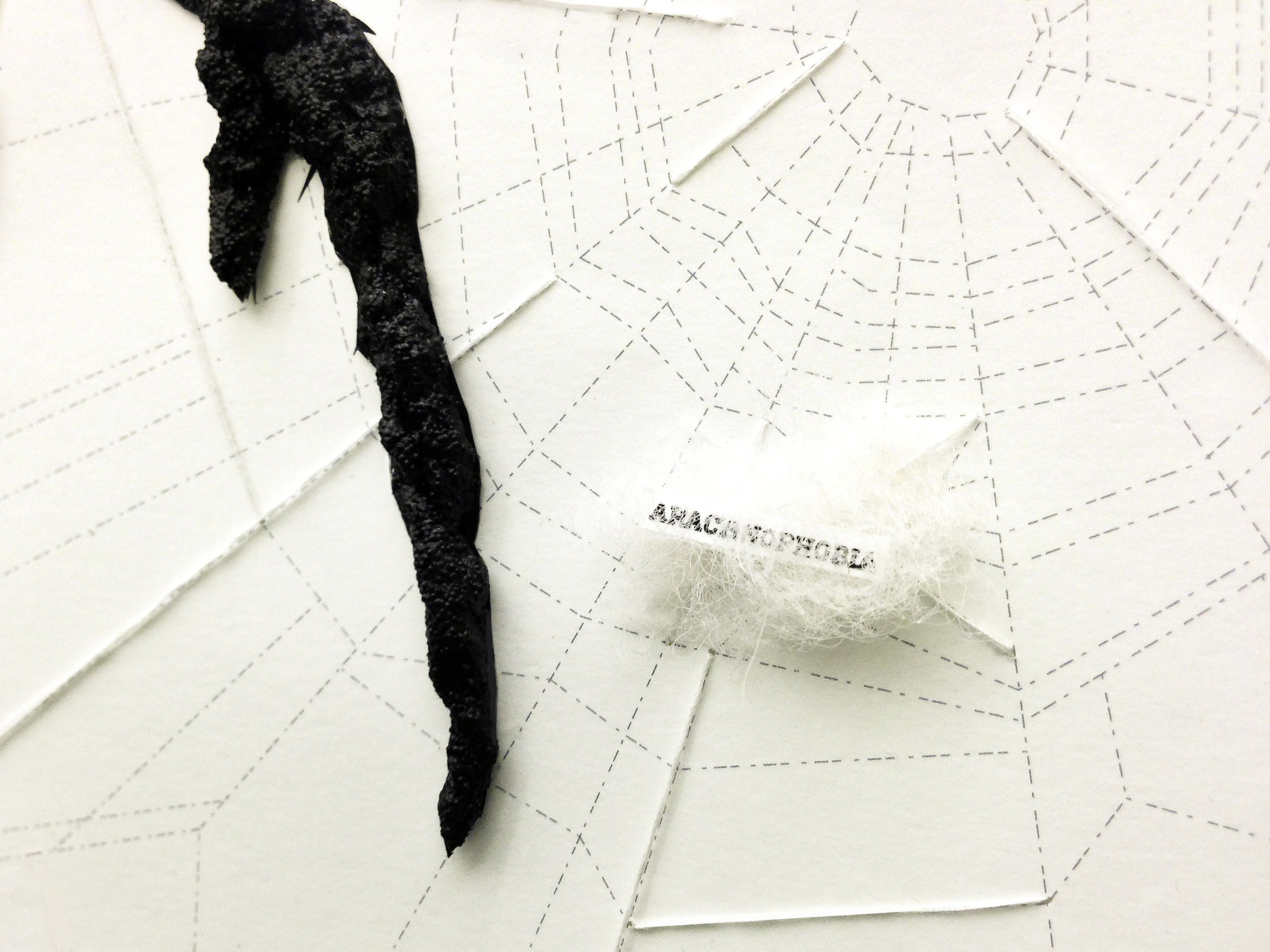 2nd_arachnophoto.jpg