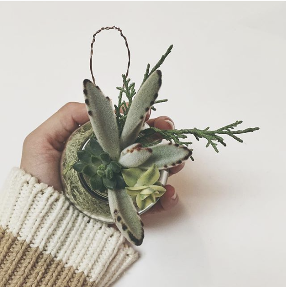 Screen Shot 2019-08-29 at 10.23.13 AM.png