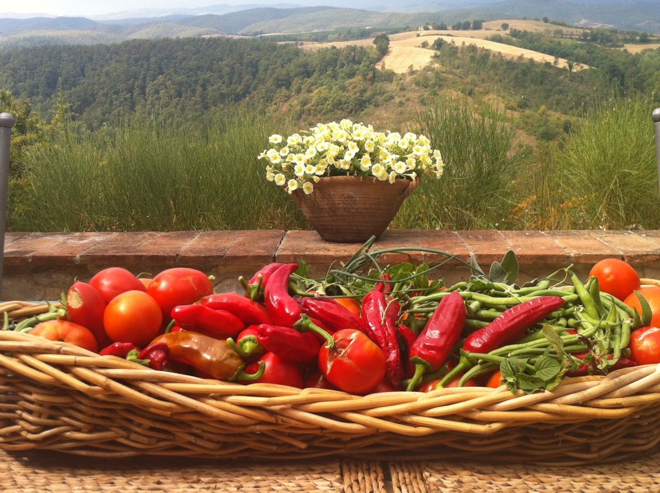 Garden Vegetables