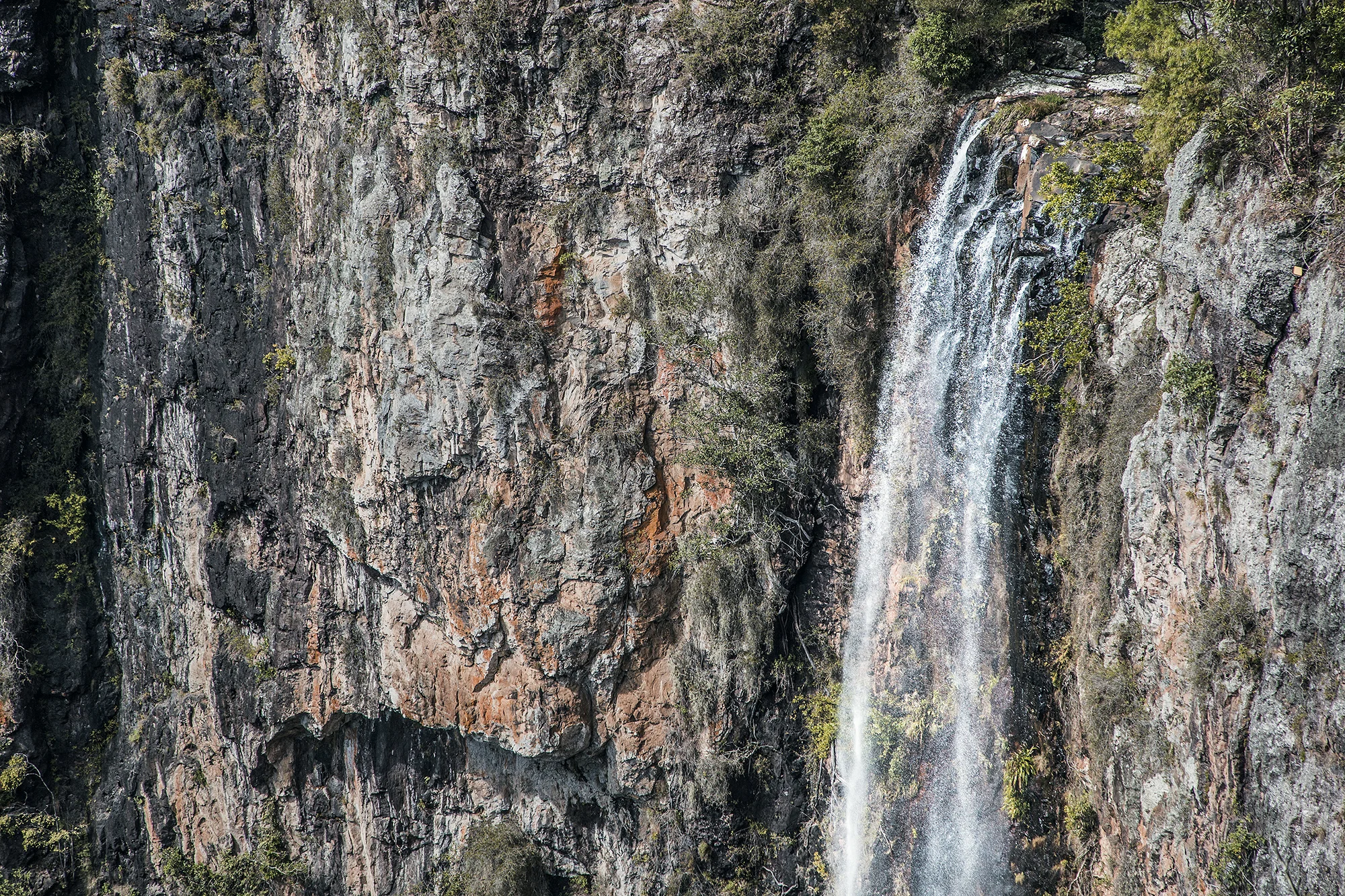 Springbrook - tapeta / wallpaper