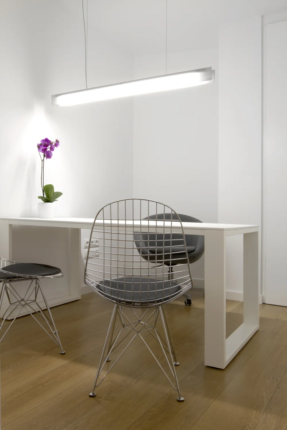 Oliver by enblanc 4.jpg