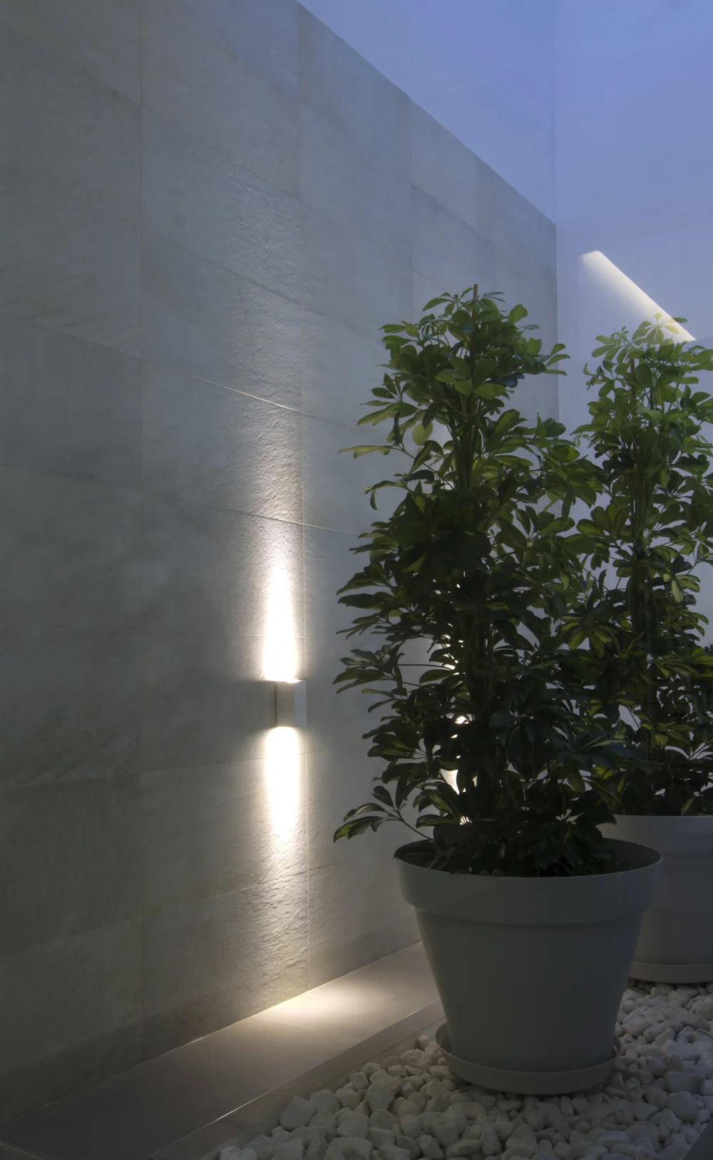 Oliver by enblanc 7.jpg