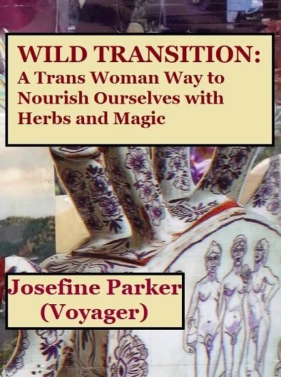 wild transition cover.jpg
