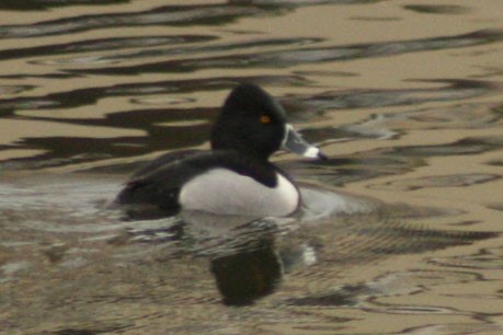 Picture43.jpg