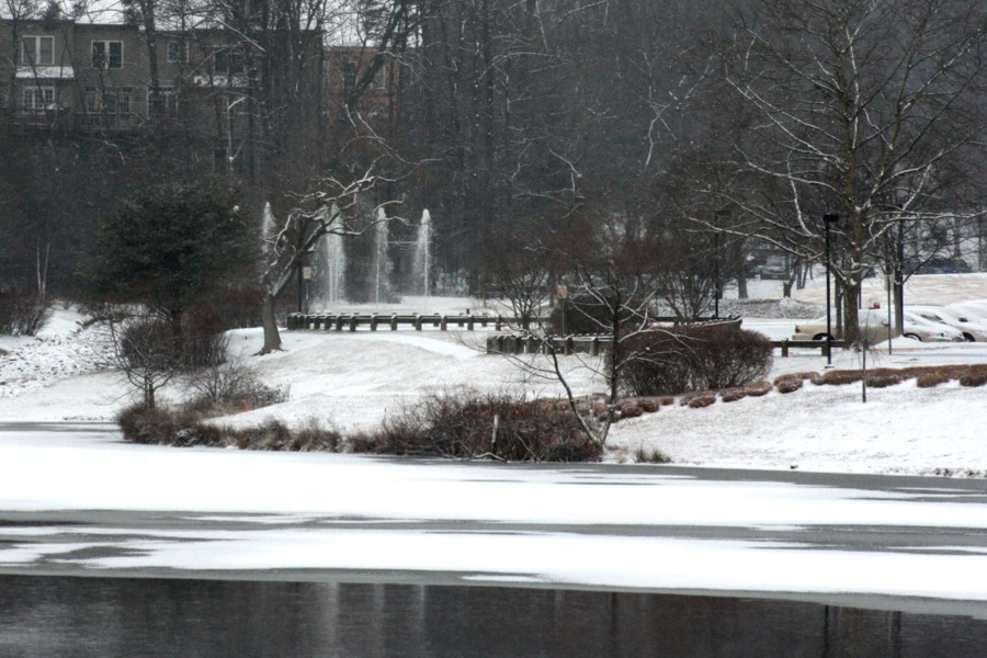 Picture42.jpg