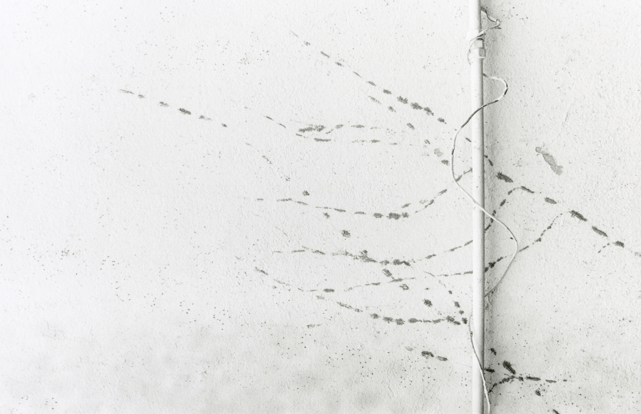 LillianMueller_Winter2014_6.jpg