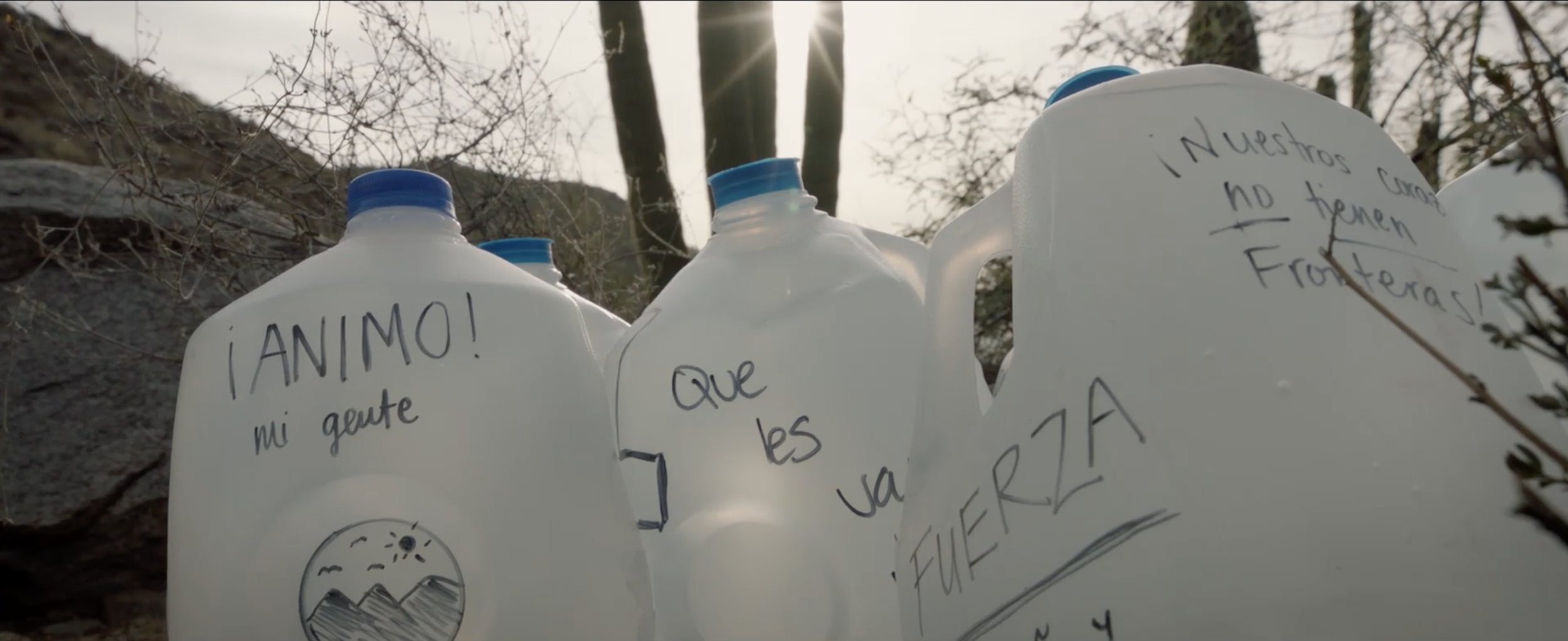 Screenshot 2024-06-04 at 2.06.58 PM.png