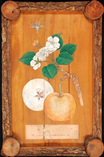 A 19th century Japanese wood panel depicting Asian pears