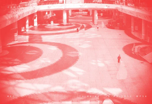 Crudely Erased Adults