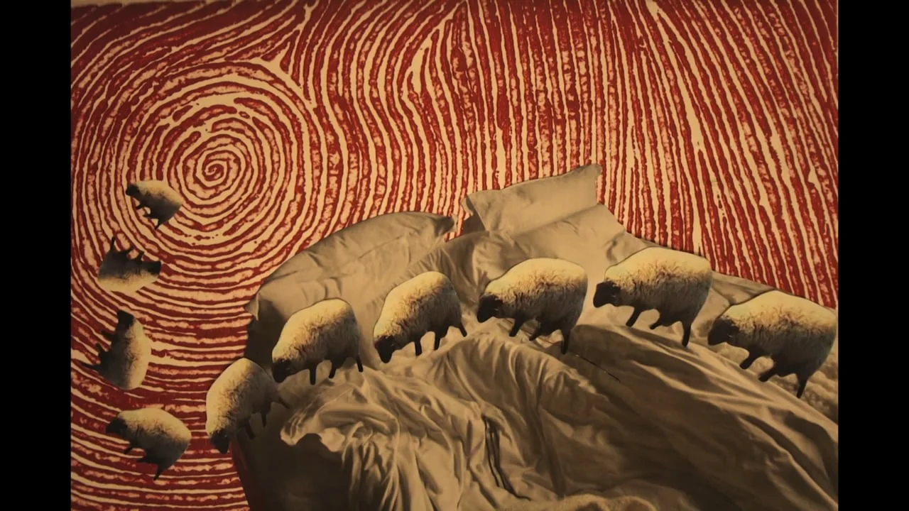 Under My Skin, Dir. Tina Rashidi