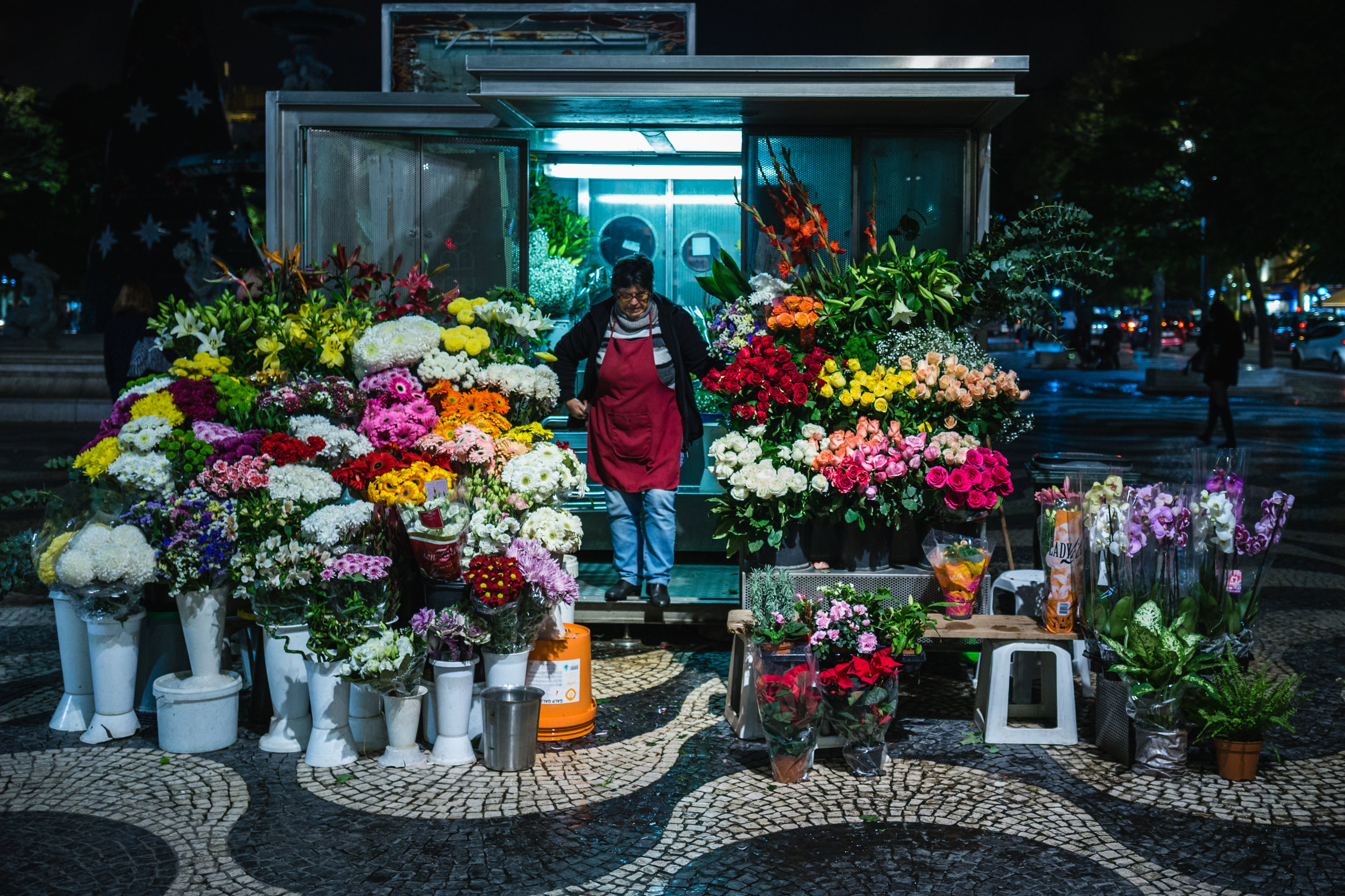  Night Flowers. Lisbon, Portugal (Nov. 2018)