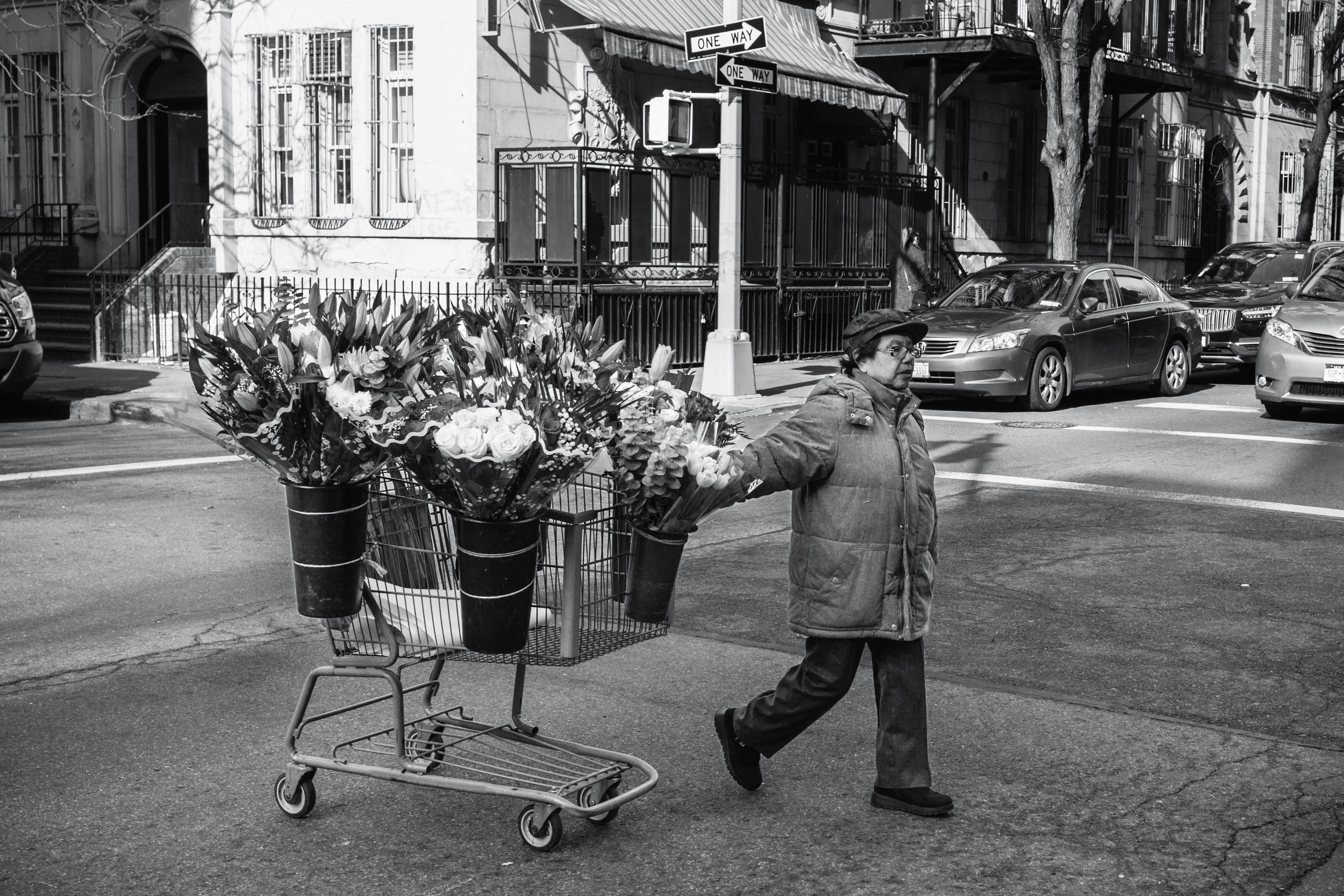 Flowers On The Move. Brooklyn, N.Y. (Jan. 2019)