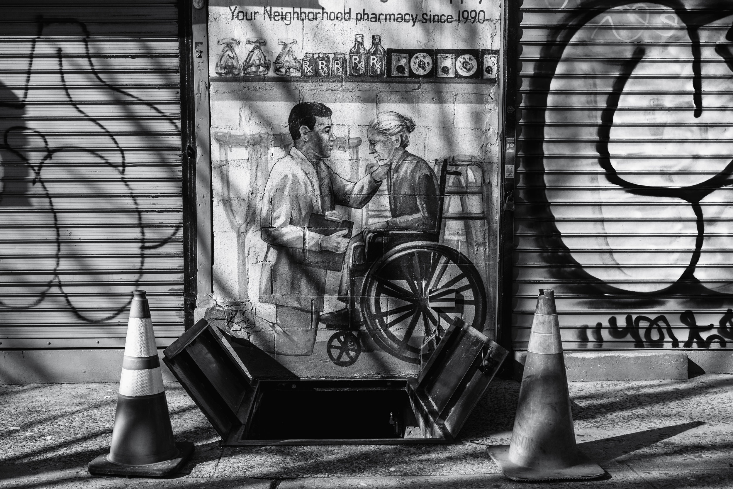 Neighborhood Pharmacy. Brooklyn, N.Y. (Jan. 2019)