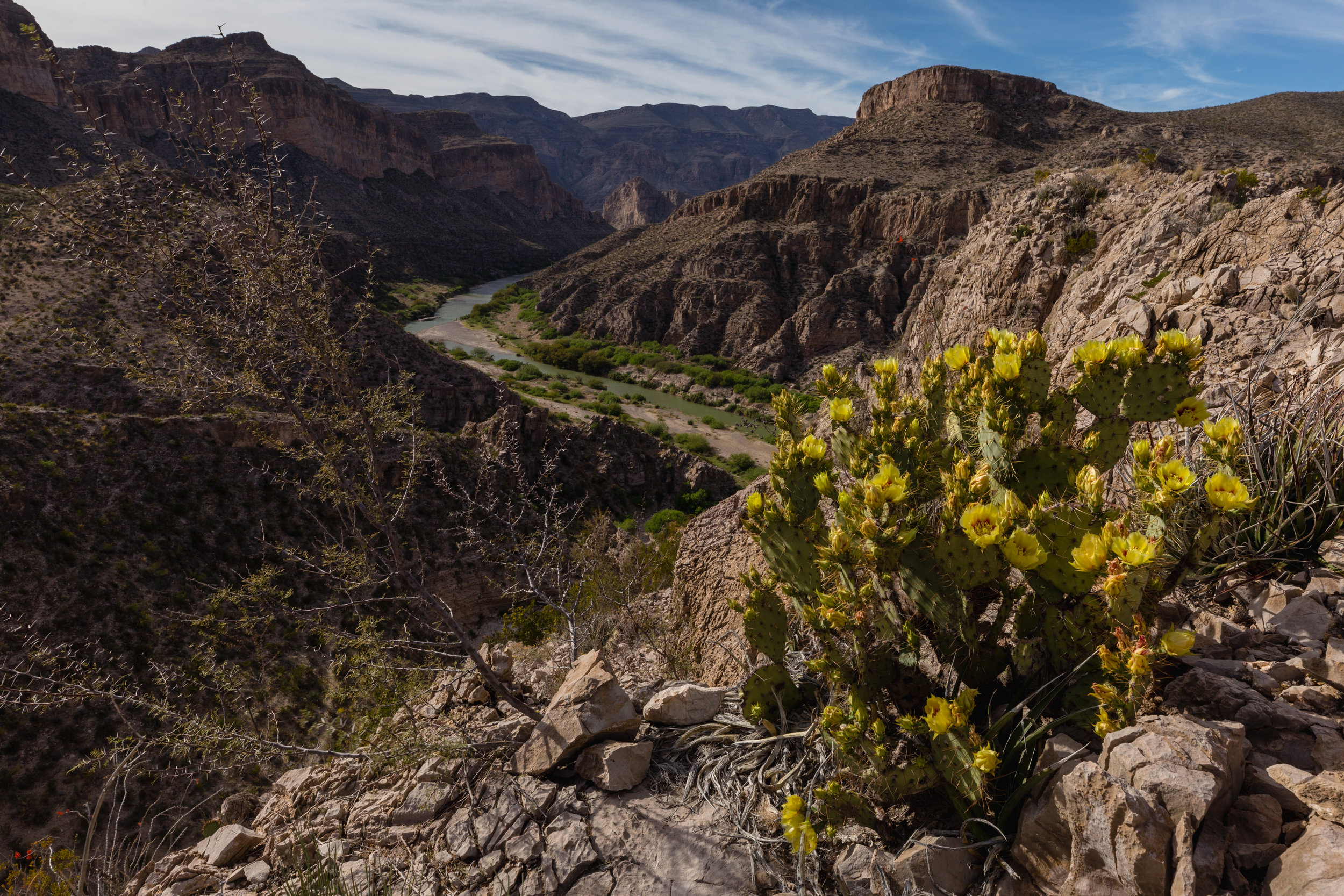 Overlooking The Rio Grande. Big Bend N.P., Texas (Mar. 2019)