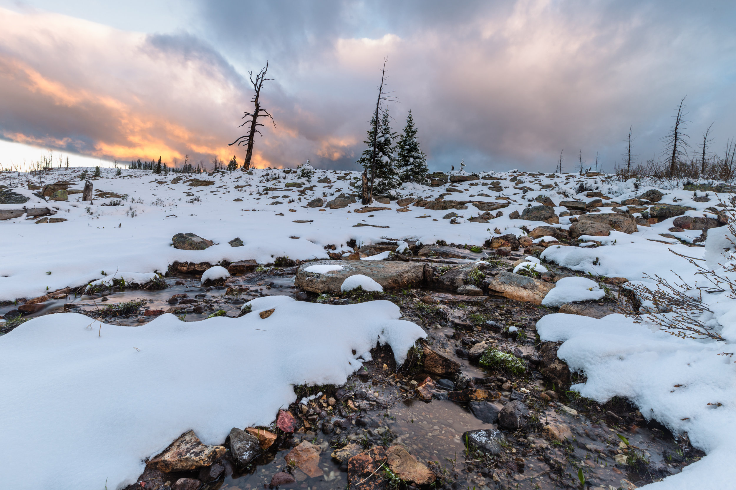 Wintry June Sunrise. Yellowstone N.P. (June 2019)