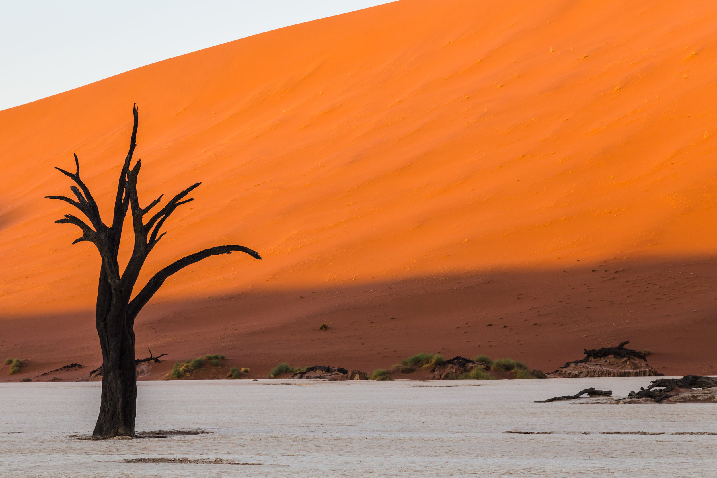 Sunrise Silhouette. Deadvlei, Namibia (Aug. 2019)