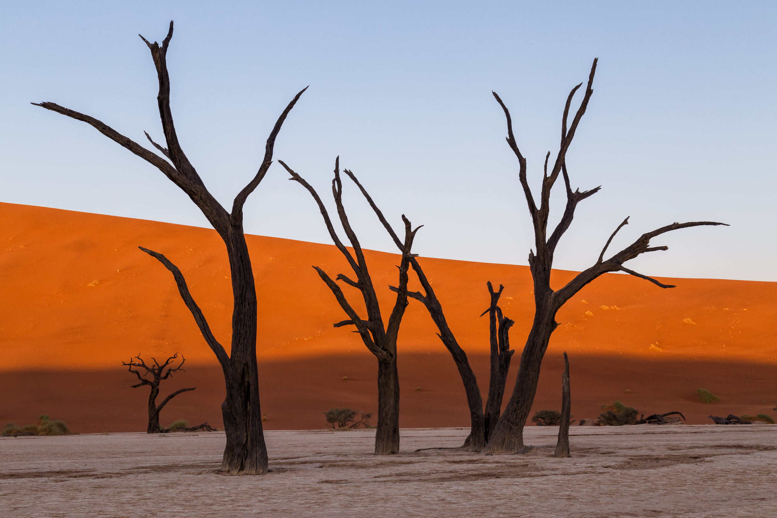 Conversation At Dawn. Deadvlei, Namibia (Aug. 2019)