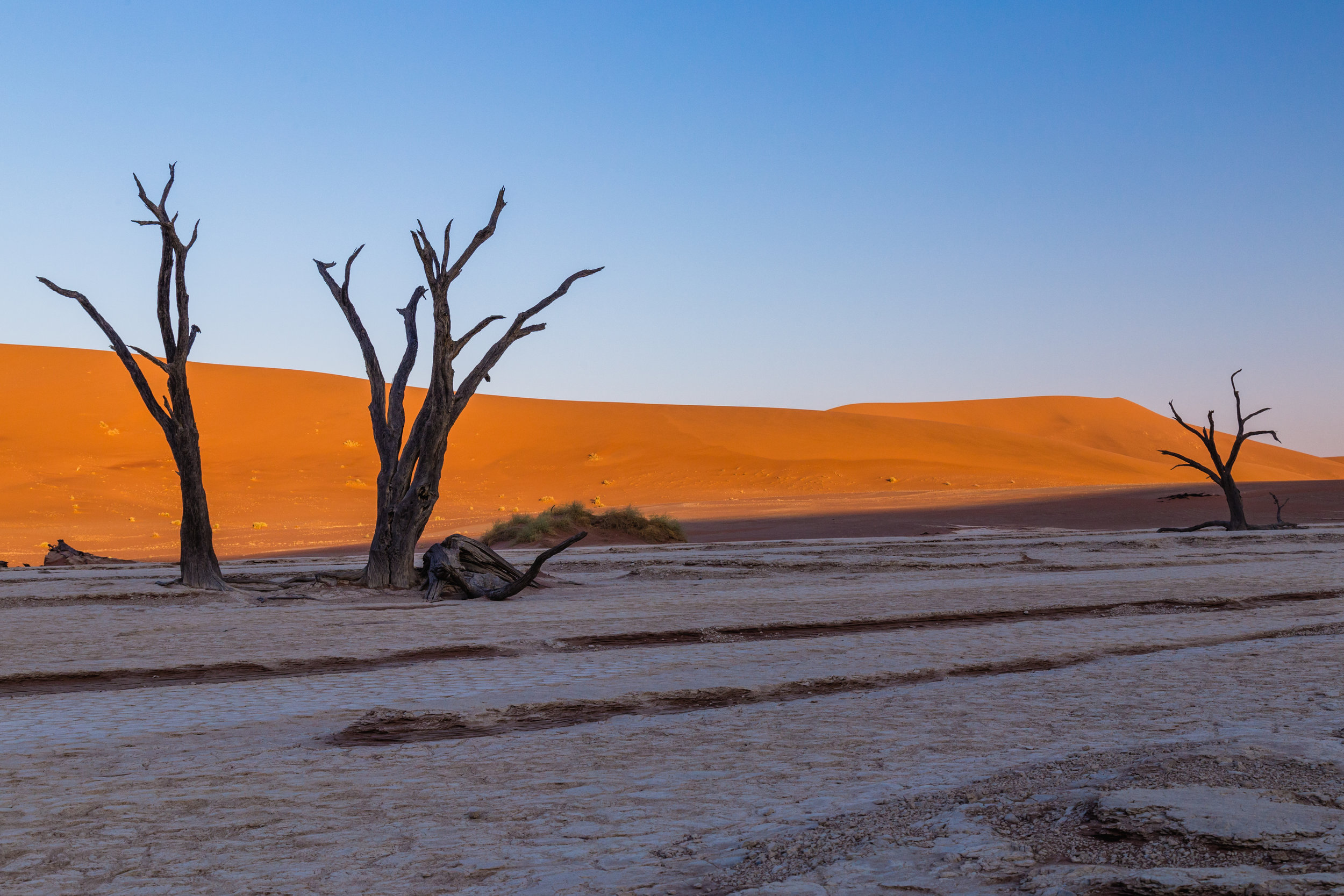 Daybeak. Deadvlei, Namibia (Aug. 2019)