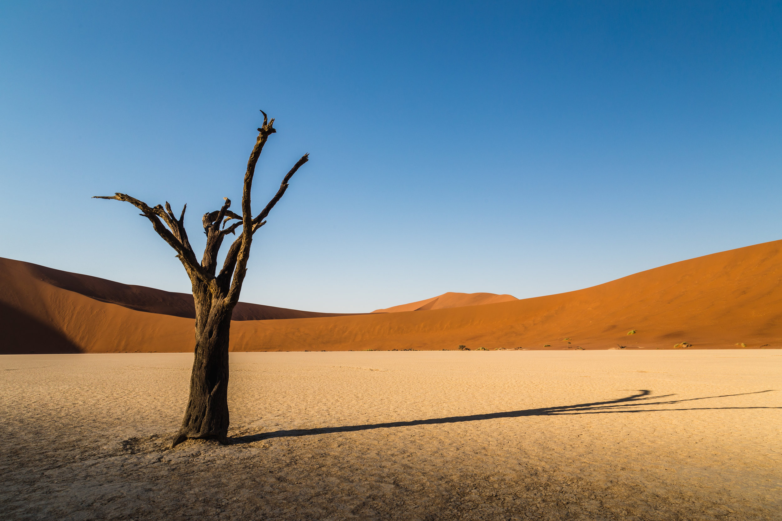 Extended Shadow. Deadvlei, Namibia (Aug. 2019)