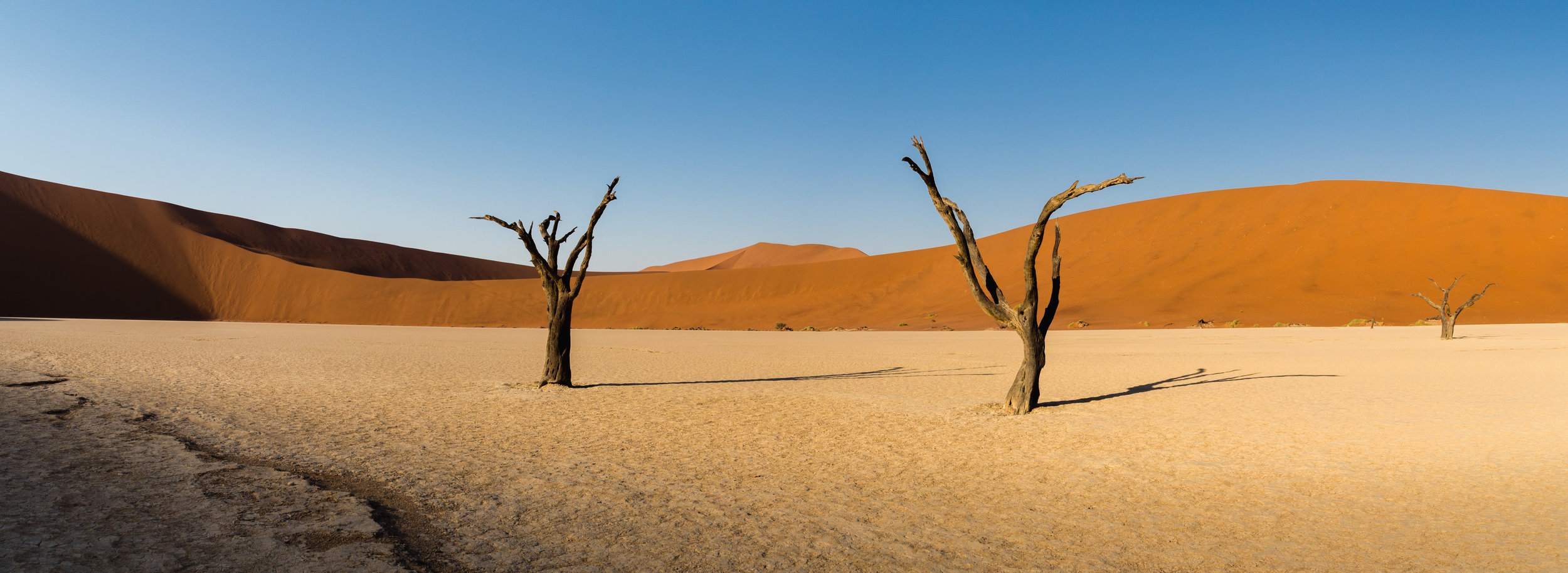 Across The Pan. Deadvlei, Namibia (Aug. 2019)