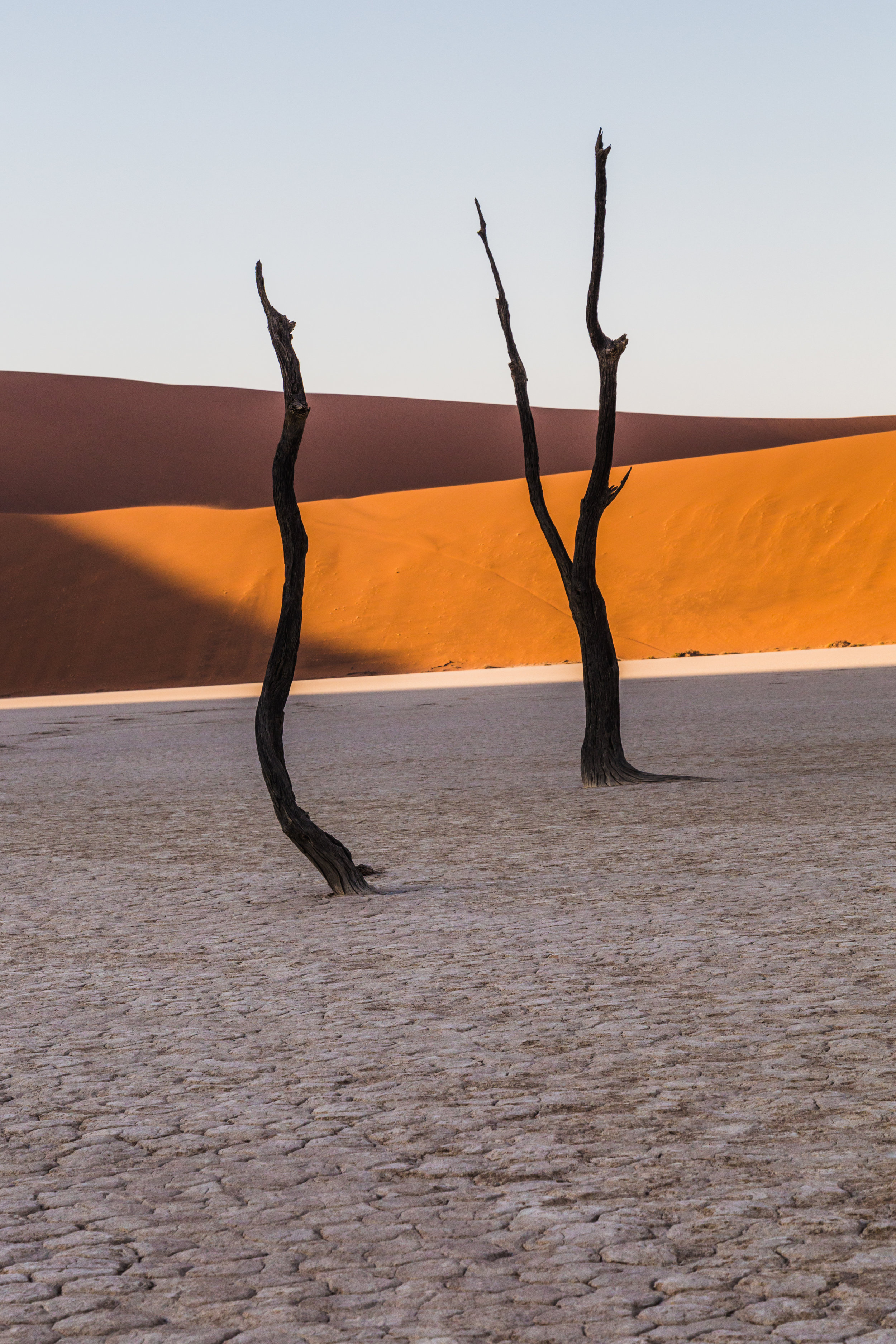 Tree Dance. Deadvlei, Namibia (Aug. 2019)