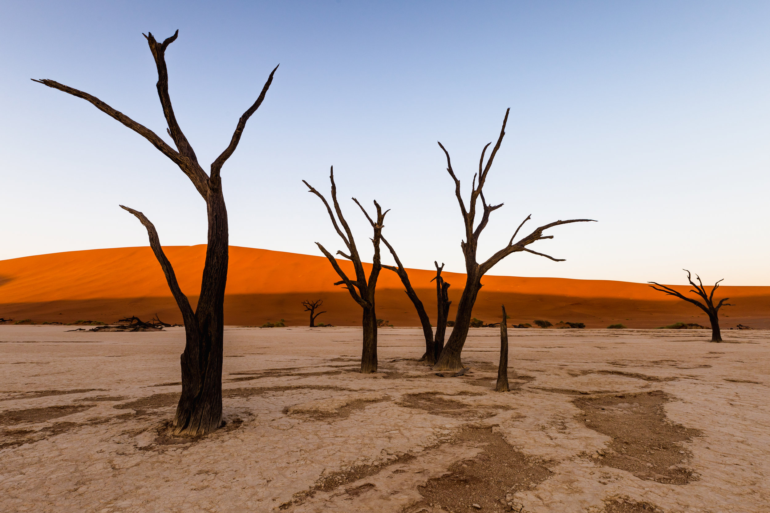 Ghost Trees At Daybreak. Deadvlei, Namibia (Aug. 2019)