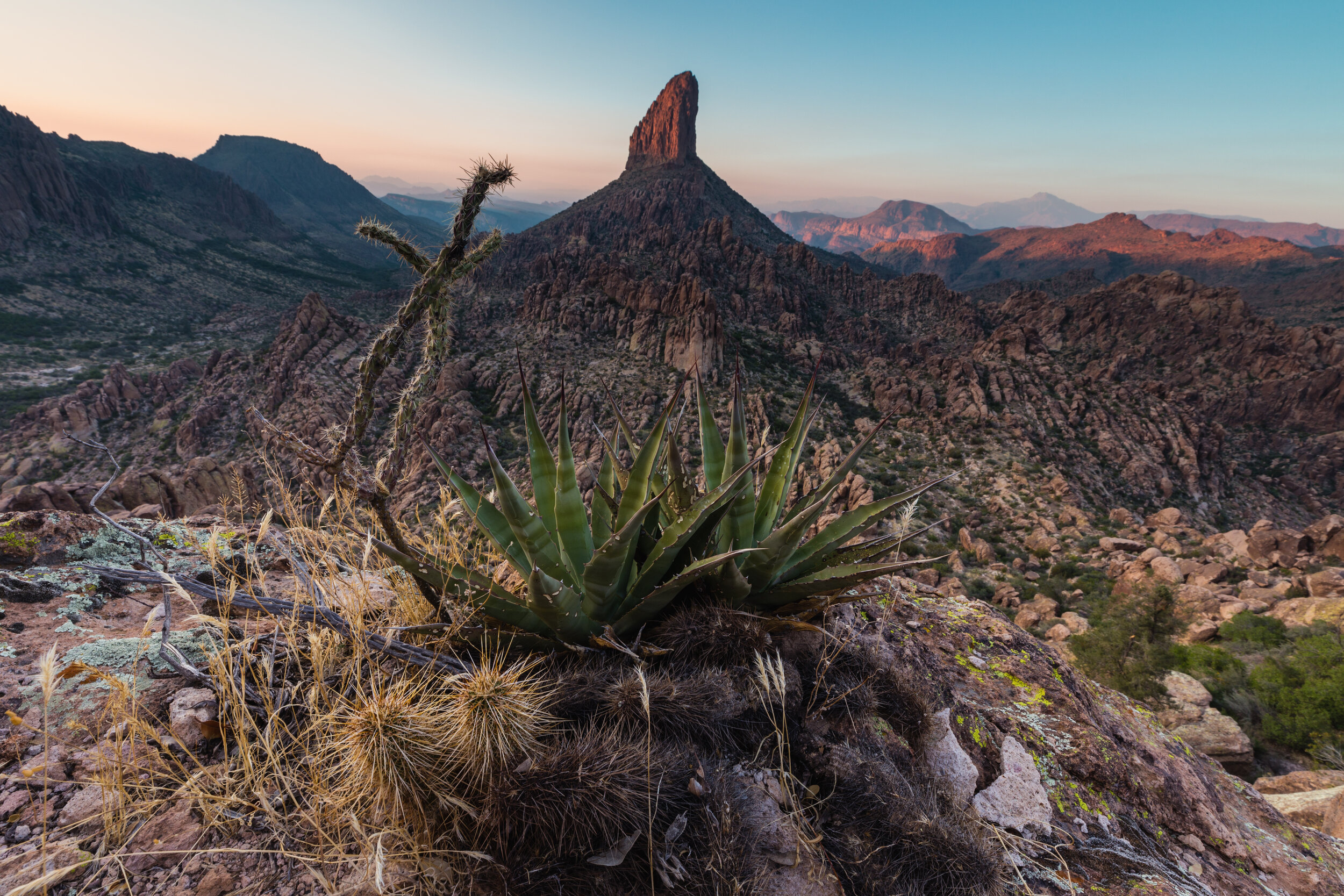 Crowned View. Superstition Wilderness, Ariz. (Oct. 2019)