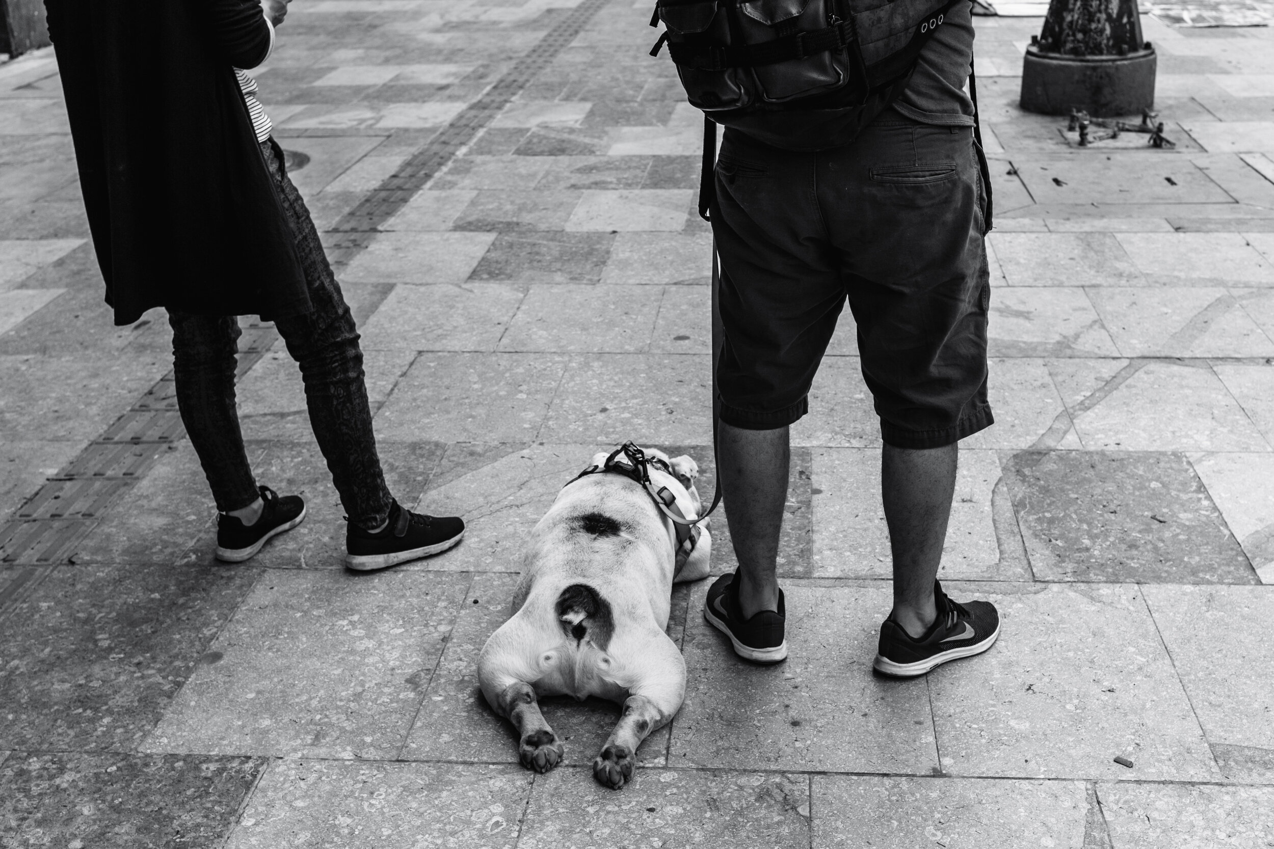 Over It. Bogota, Colombia (Nov. 2019)