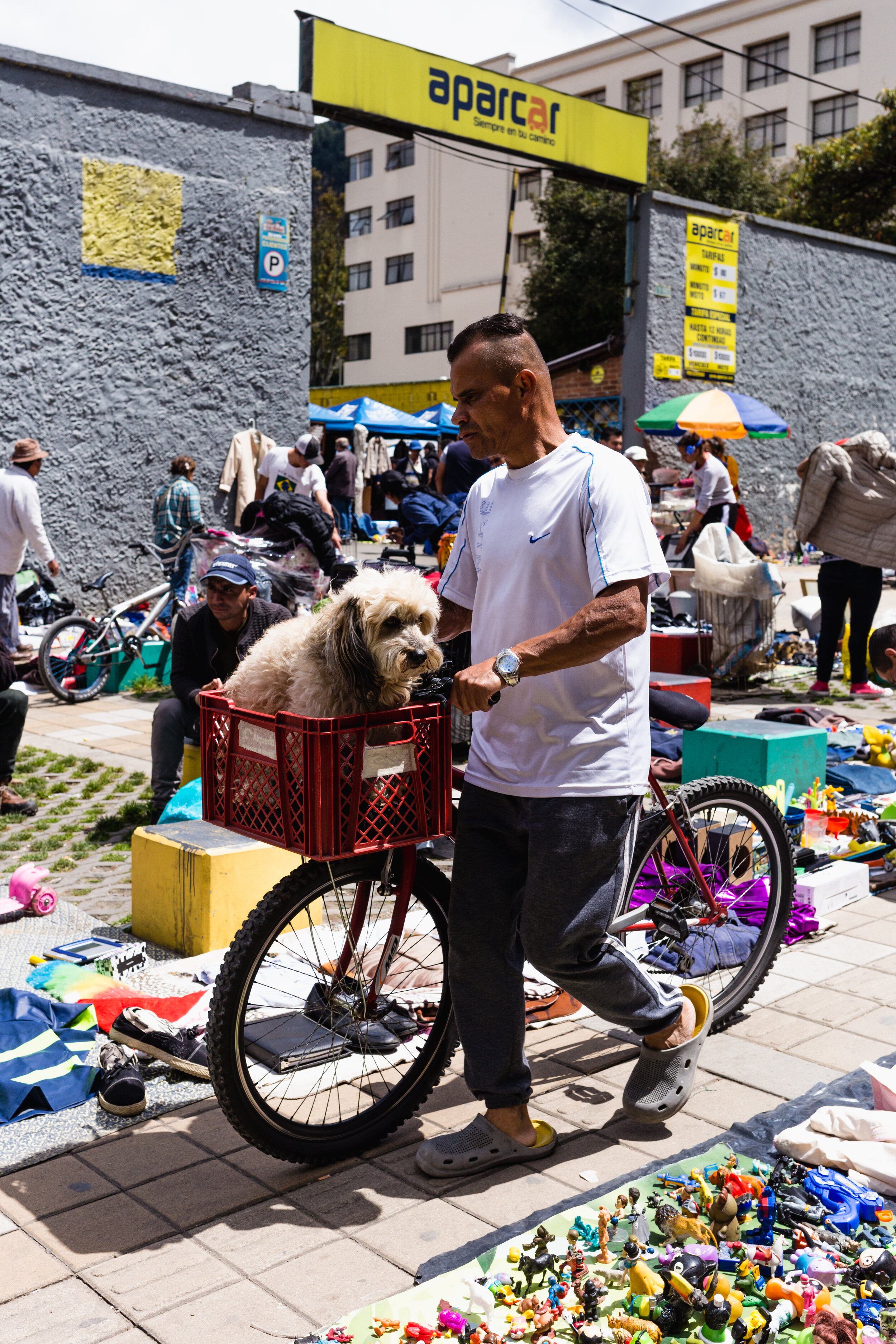 Basket Ride. Bogota, Colombia (Nov. 2019)