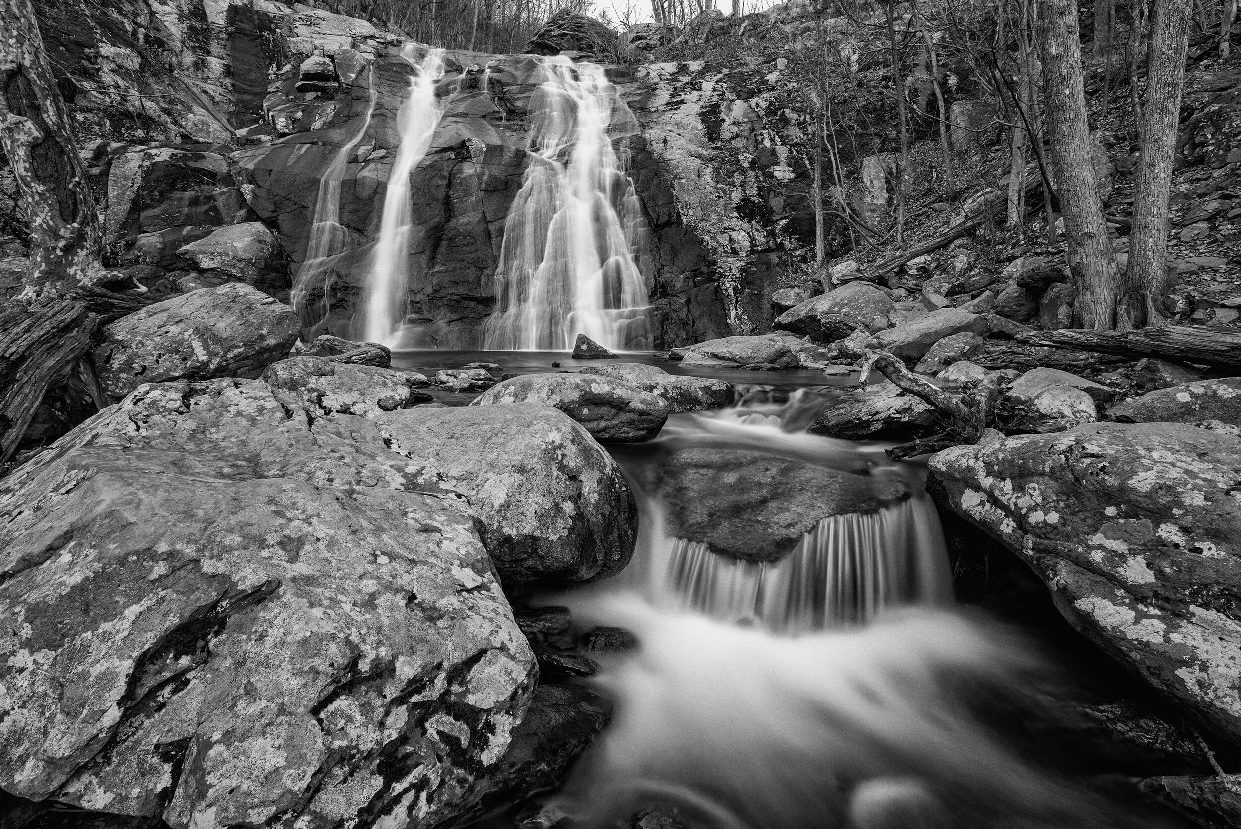 Winterf[a]ll. Shenandoah N.P., Va. (Jan. 2020)