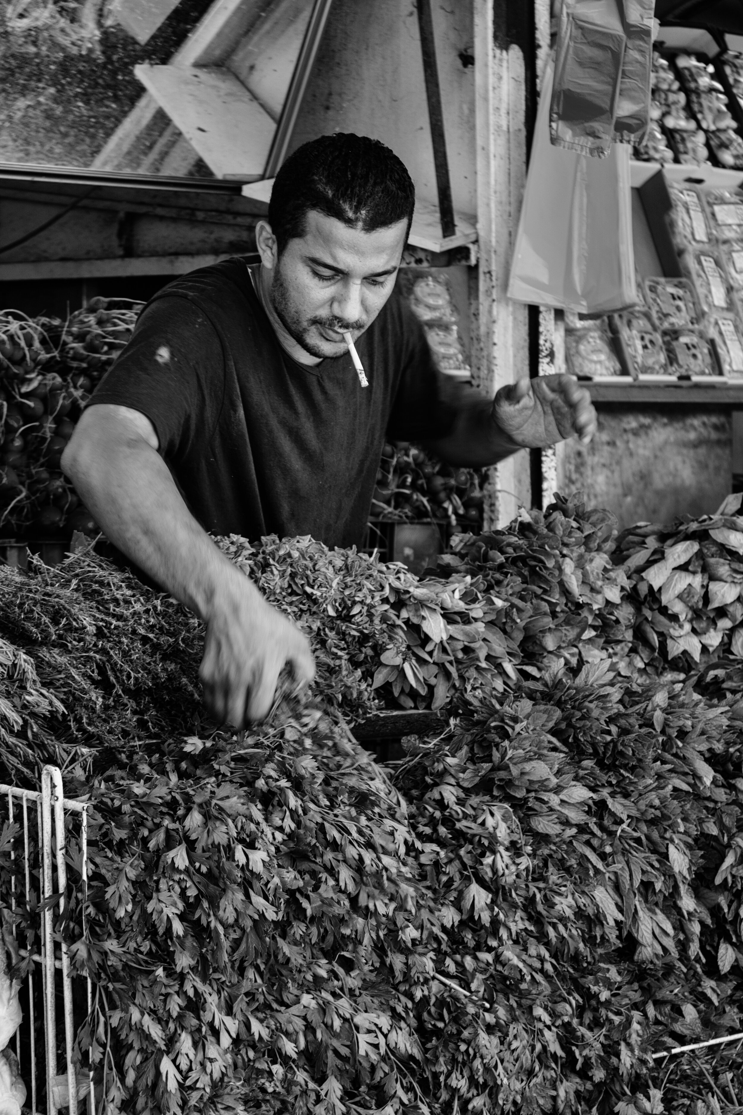 Morning Market. Tel Aviv, Israel (Sept. 2016)