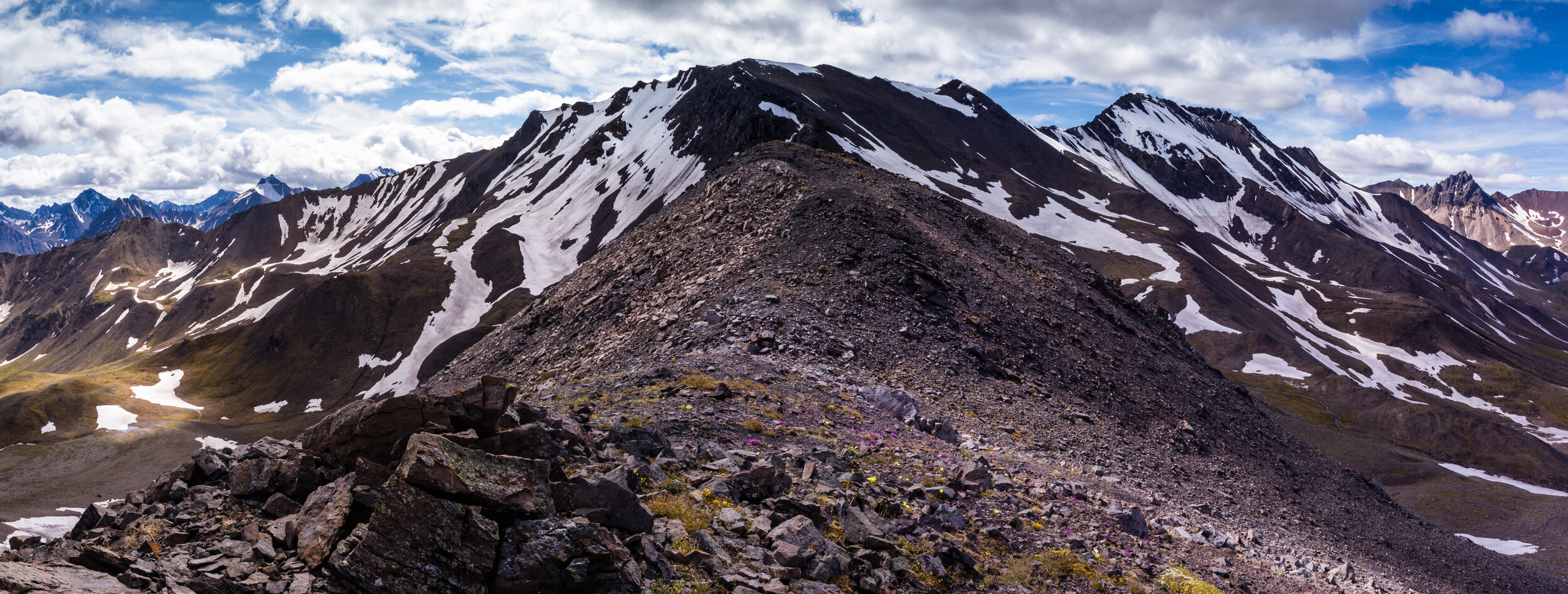 Over The Pass. Denali N.P., Alaska (July 2018)