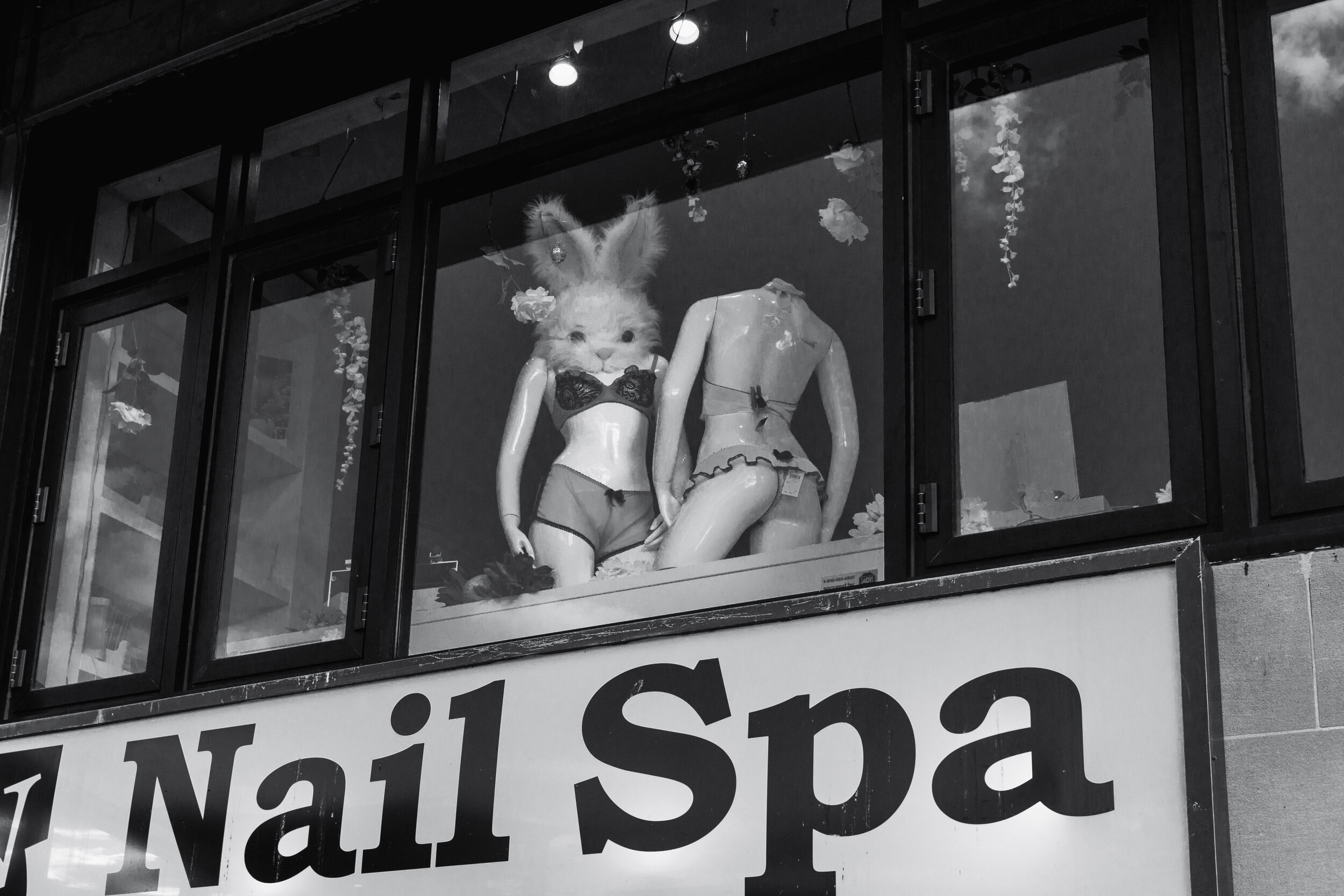 Bunny Burlesque? Washington, D.C. (Apr. 2020