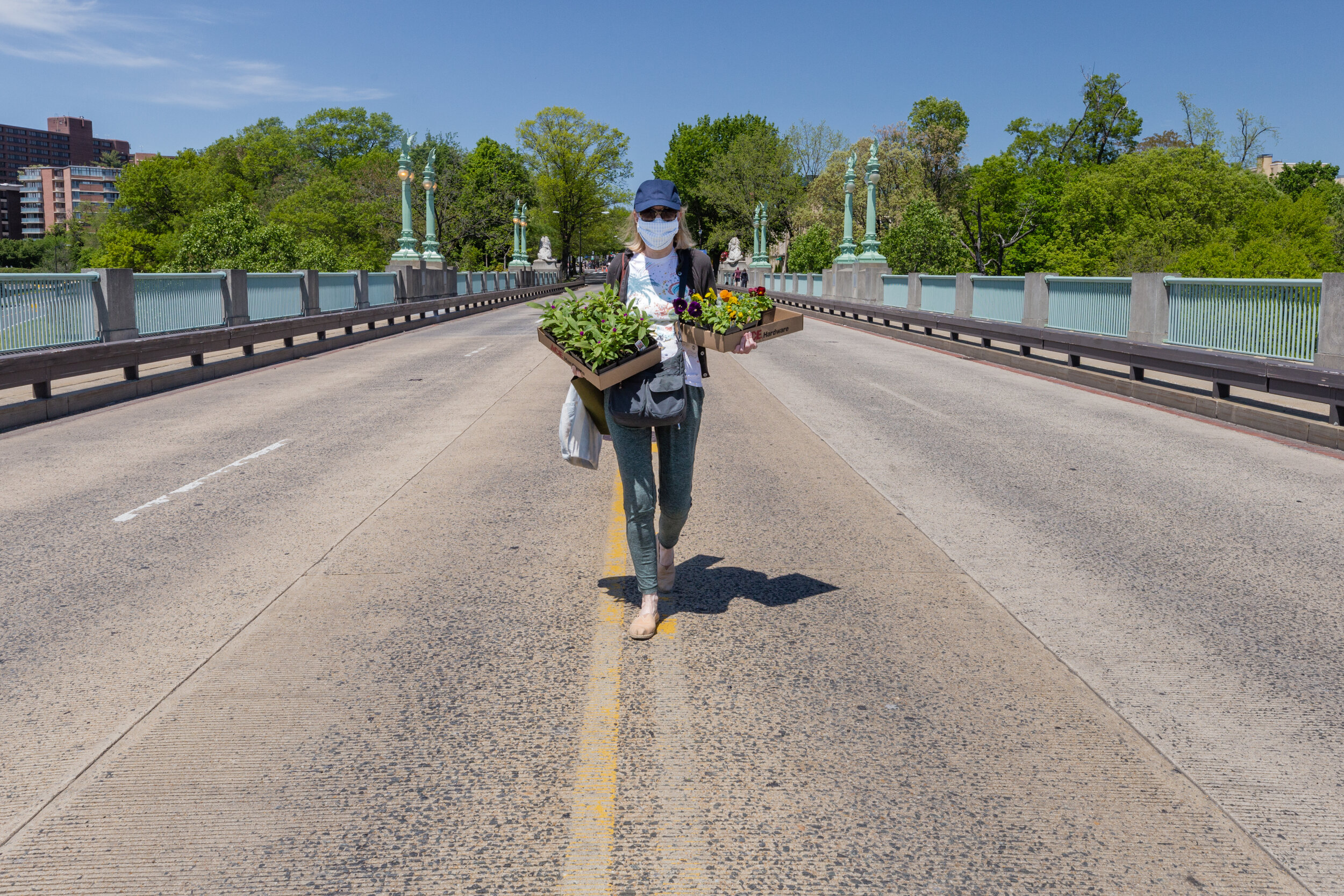 Gardening During Corona. Washington, D.C. (May 2020)