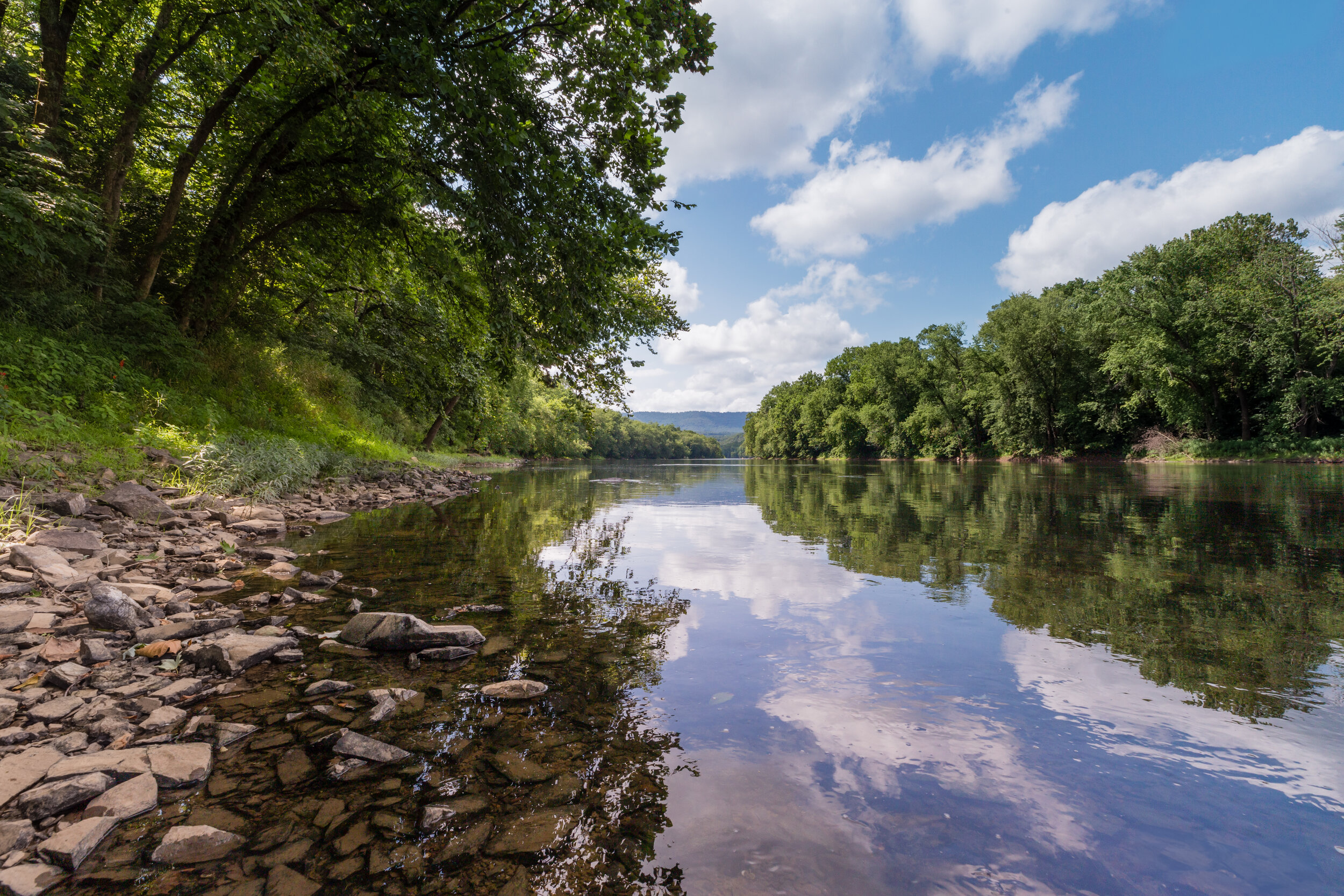 River's Edge. Green Ridge State Forest, Md. (Aug. 2020)