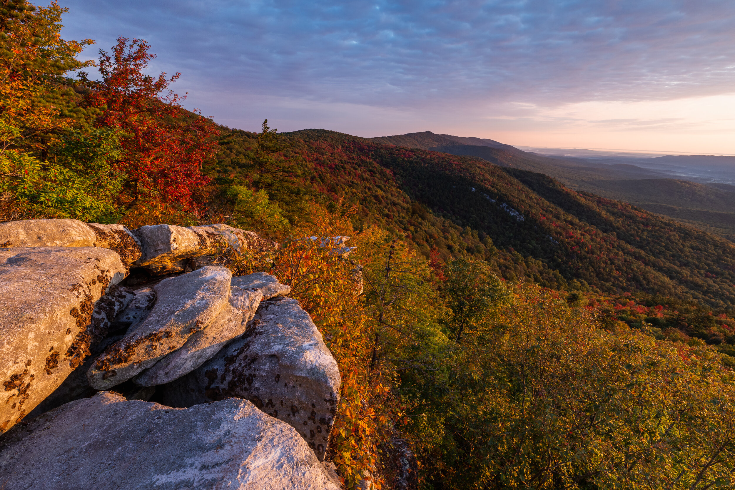 Autumn On The Edge. George Washington N.F., Va. (Oct. 2020)