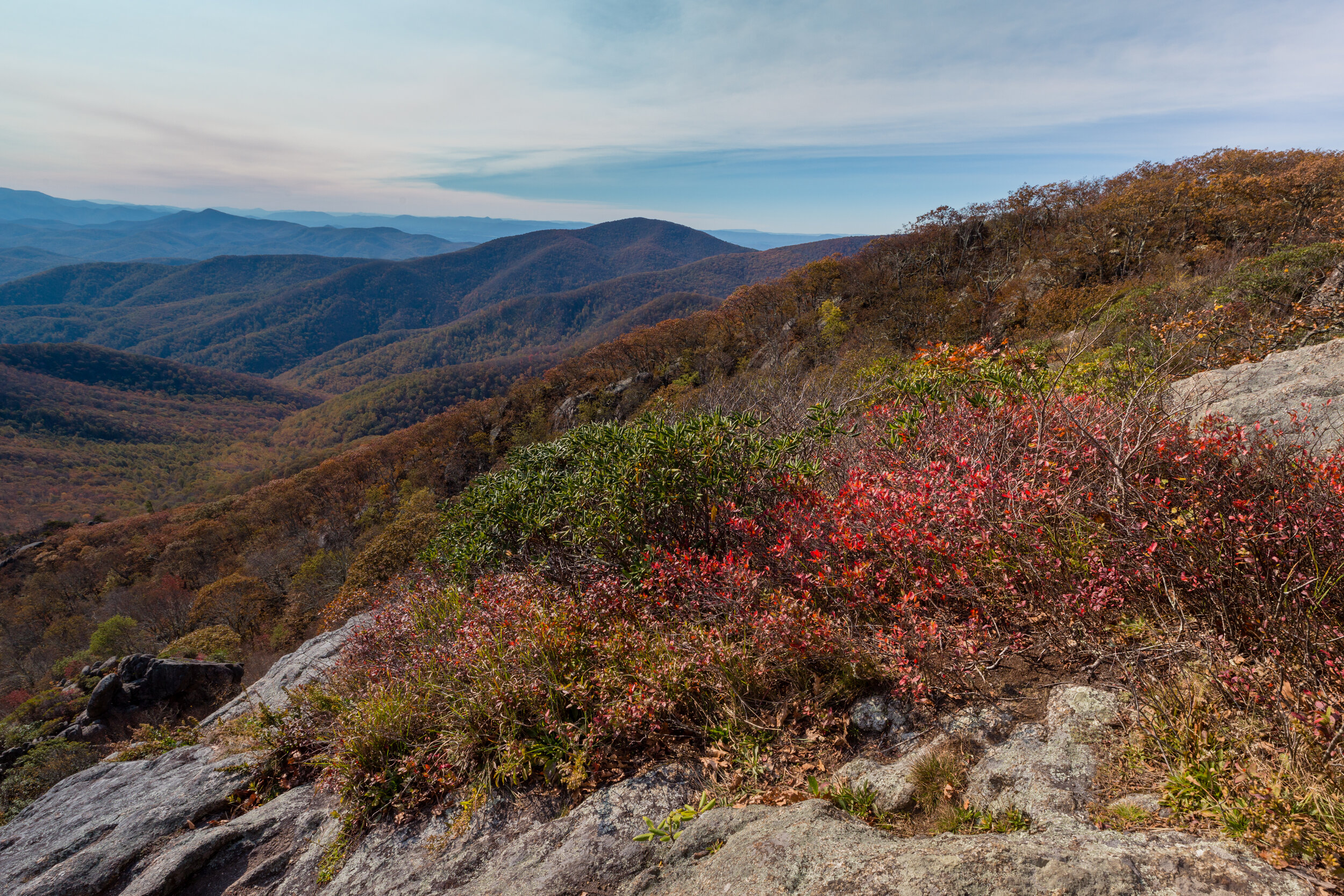 Fall Color. Mount Pleasant, George Washington N.F., Va. (Oct. 2020)
